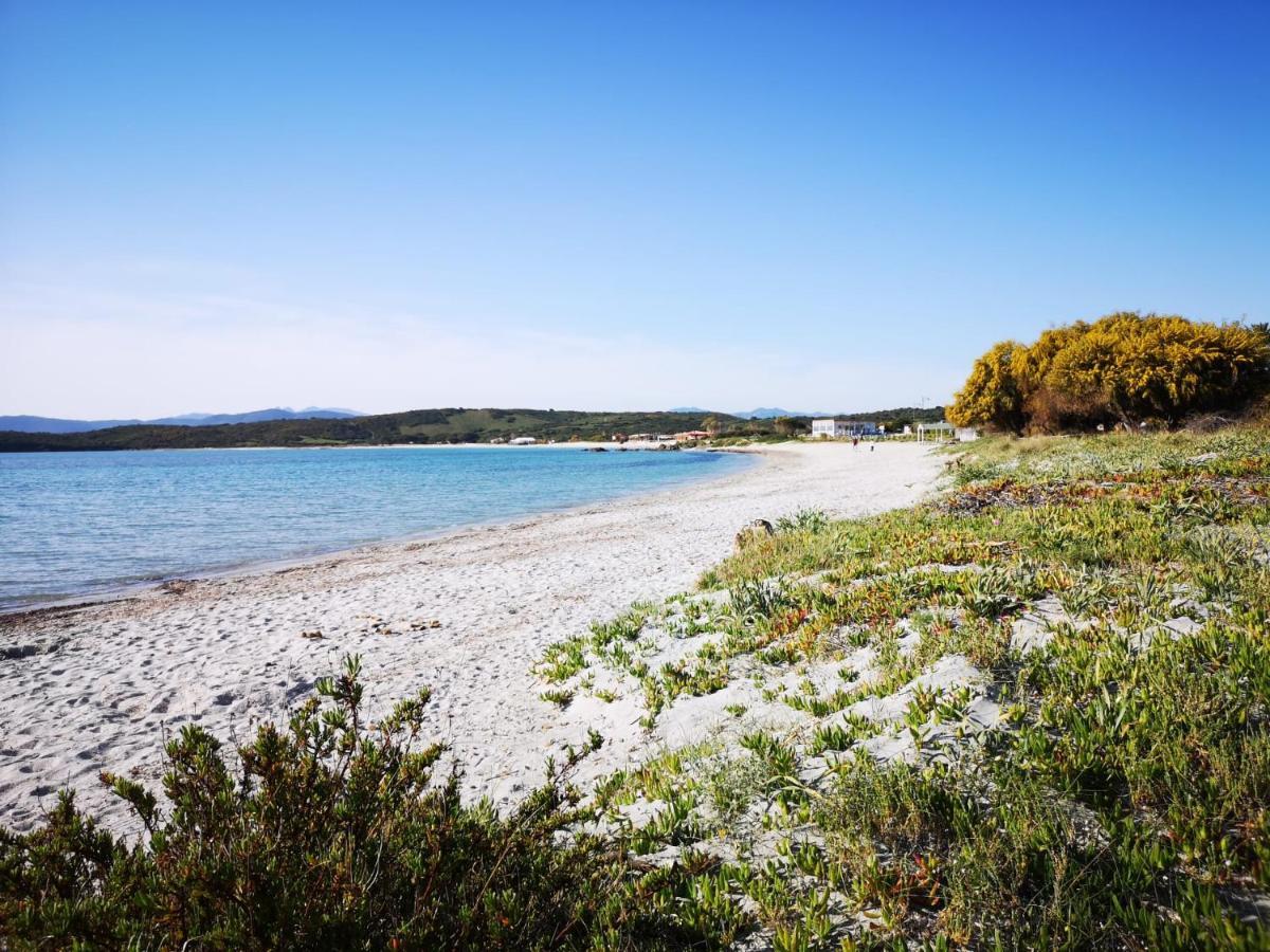 Insardinia House Trilocale A 200Mt Dalla Spiaggia Olbia Exteriér fotografie
