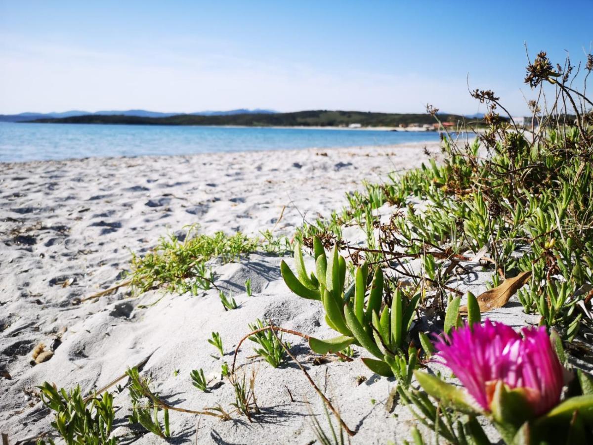 Insardinia House Trilocale A 200Mt Dalla Spiaggia Olbia Exteriér fotografie